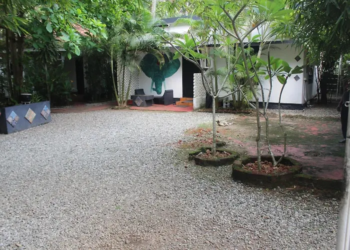 Mint Inside Garden