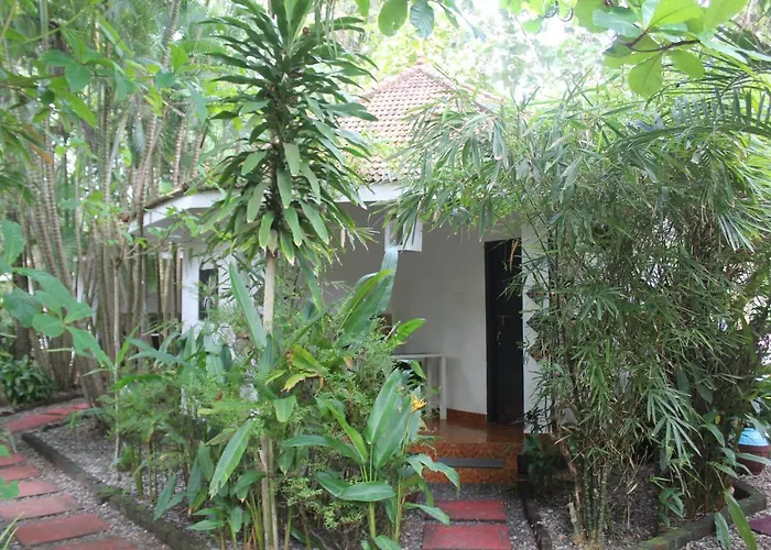 Mint Inside Garden
