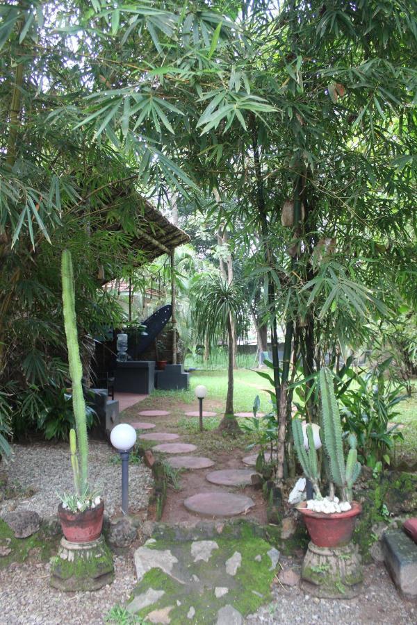 Mint Inside Garden Homestay *