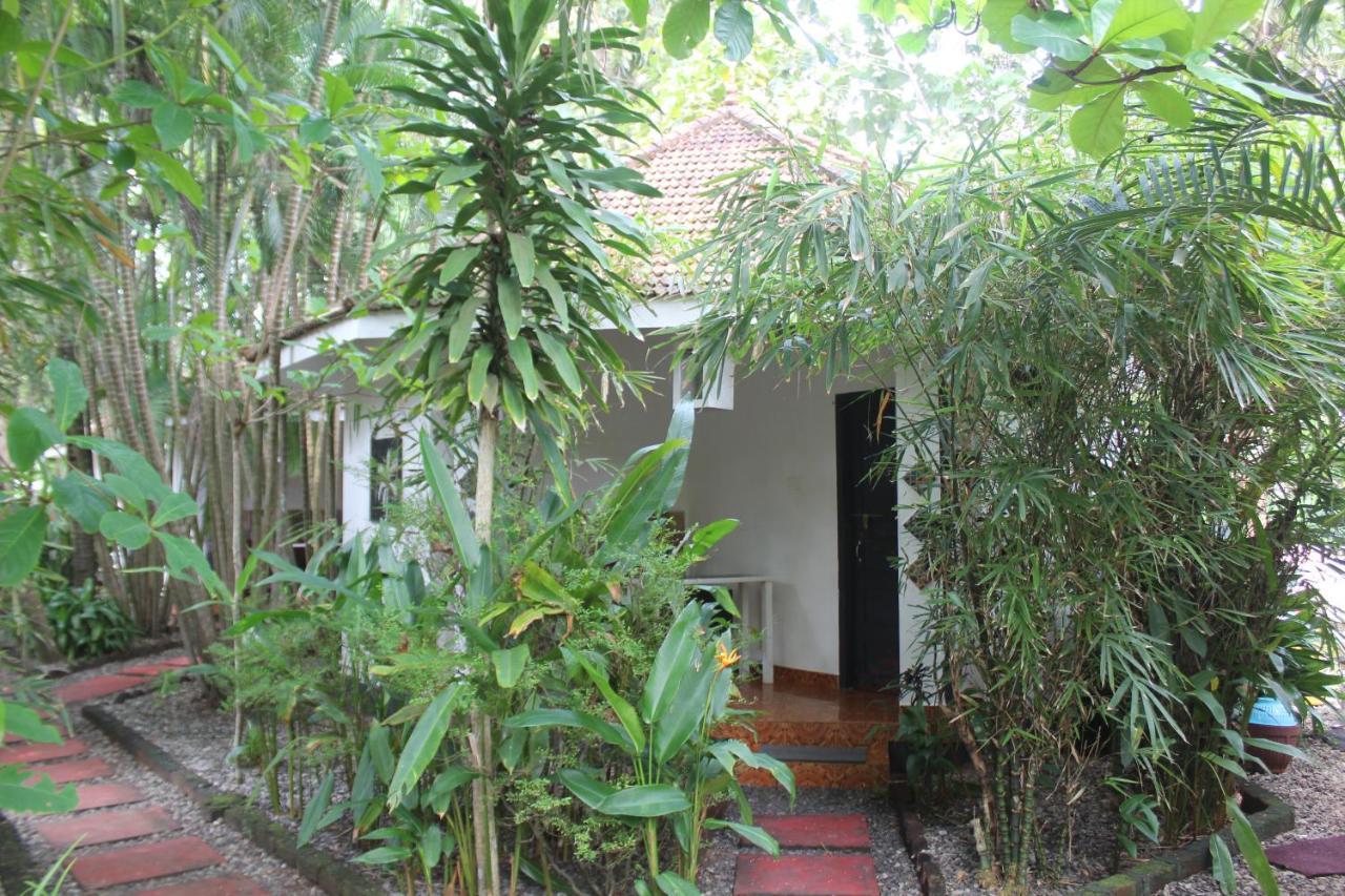 Homestay Mint Inside Garden